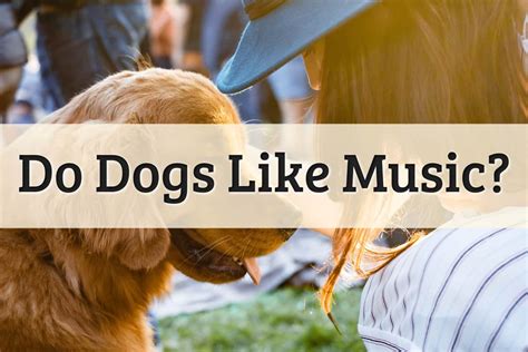 do dogs like music? Does listening to classical music make dogs smarter?