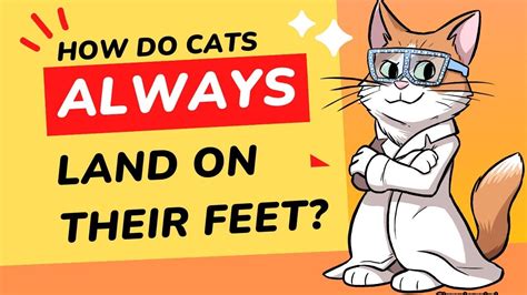 How Many Books Are Missing from the Bible, and Why Do Cats Always Land on Their Feet?