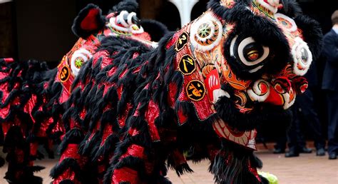 lion dance origin: The Lion Dance: A Cultural Symphony